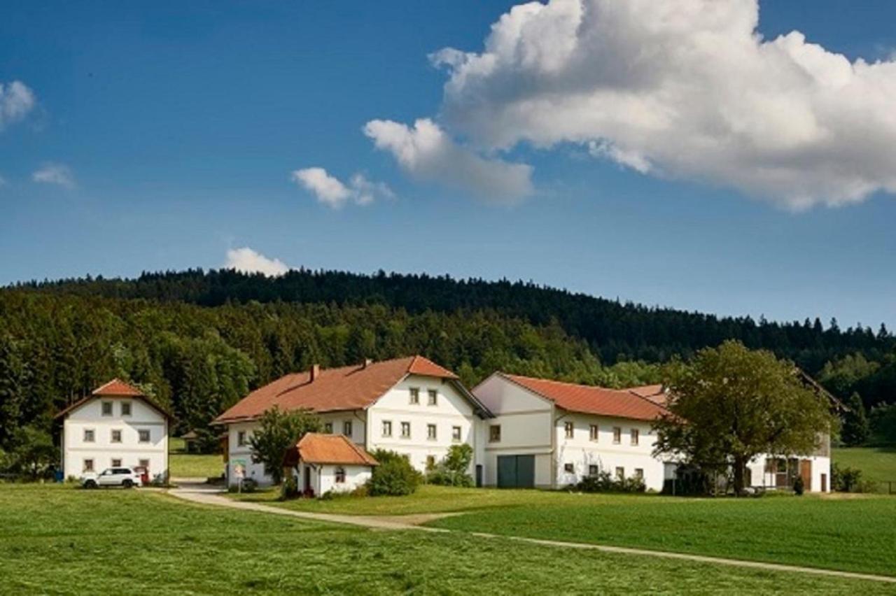Der Breinhof - Euer Urlaubsbauernhof Lejlighed Waldkirchen Eksteriør billede